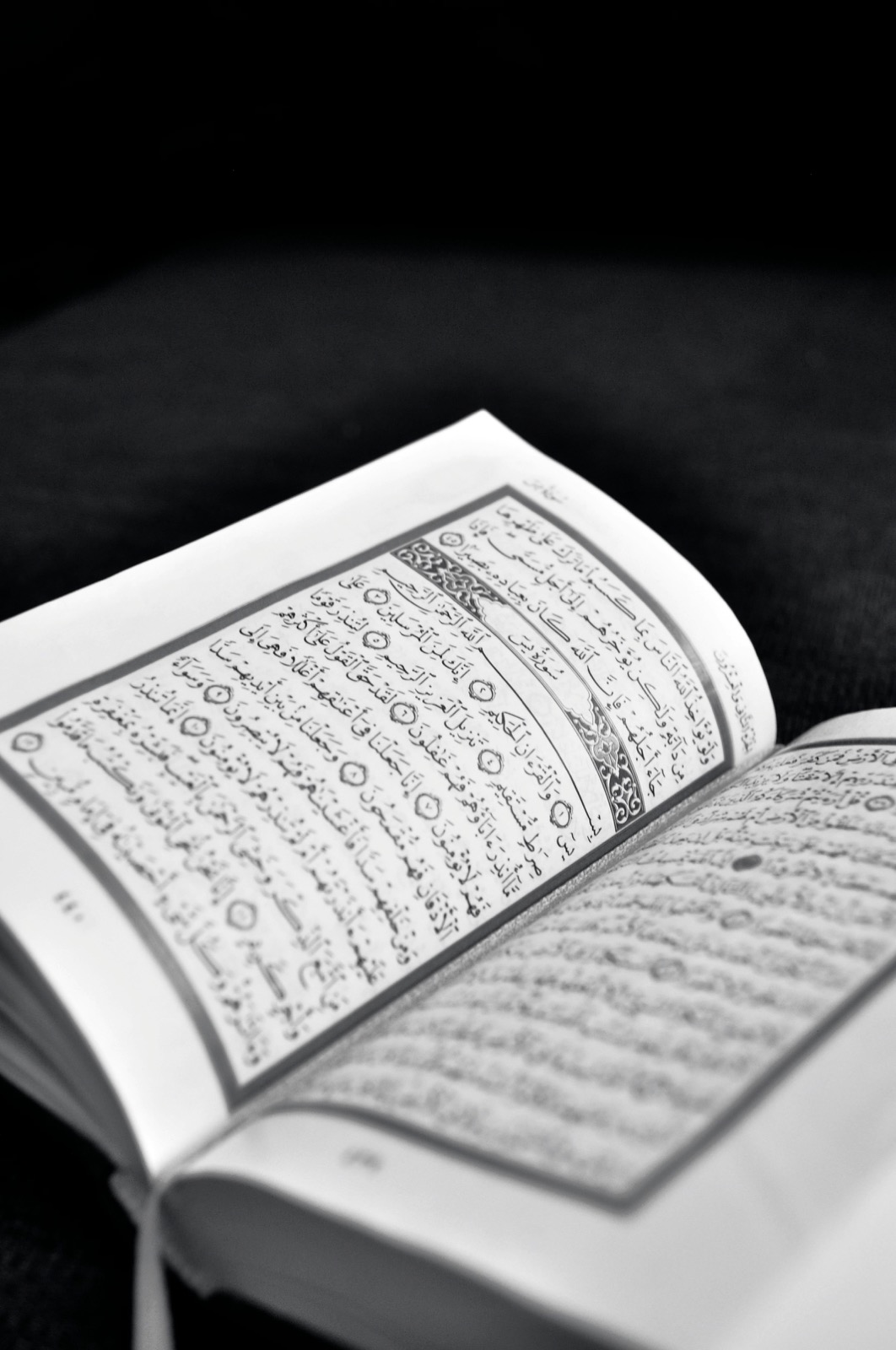 Certified Hafiz holding the Quran - Learn Quran Online with Tajweed